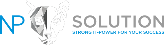 NP-SOLUTION